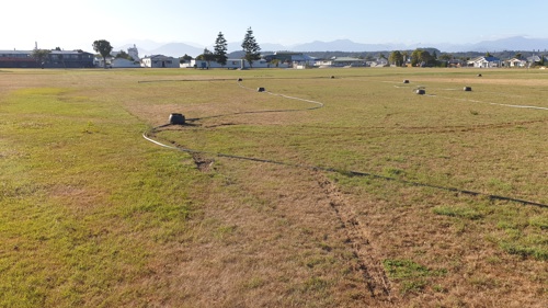 Cass Square park with tyre tracks on the grass